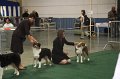 IMG_0706