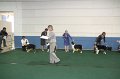IMG_0709