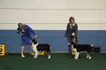 IMG_0711