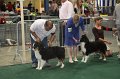IMG_0720