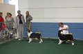 IMG_0728