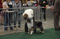 IMG_0739