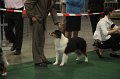 IMG_0740