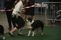 IMG_0741