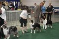 IMG_0744