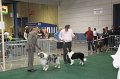 IMG_0746