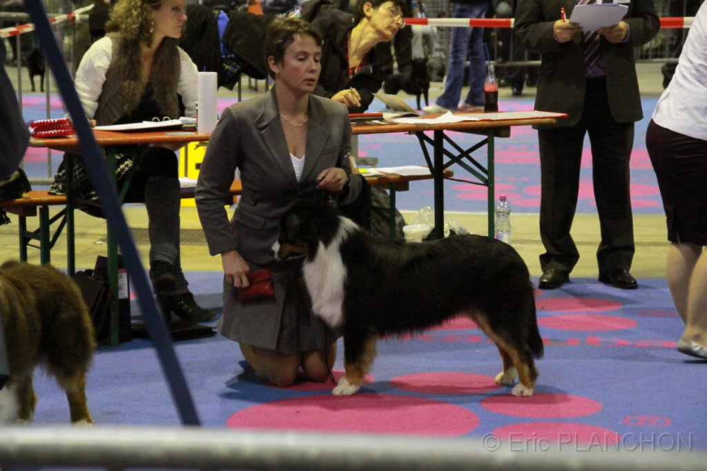IMG_0077.JPG