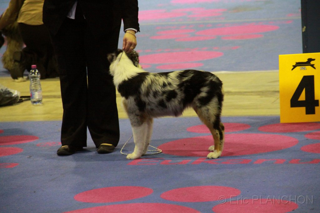 IMG_0170.JPG