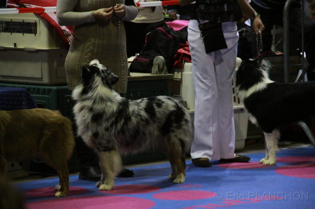 IMG_0218.JPG