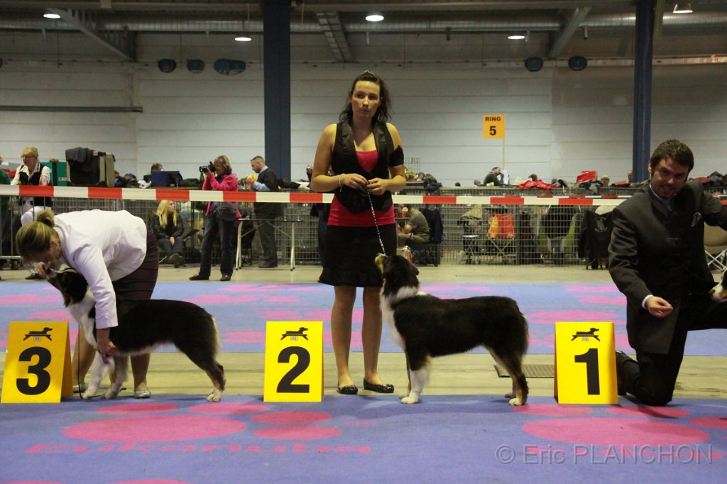IMG_0244.JPG
