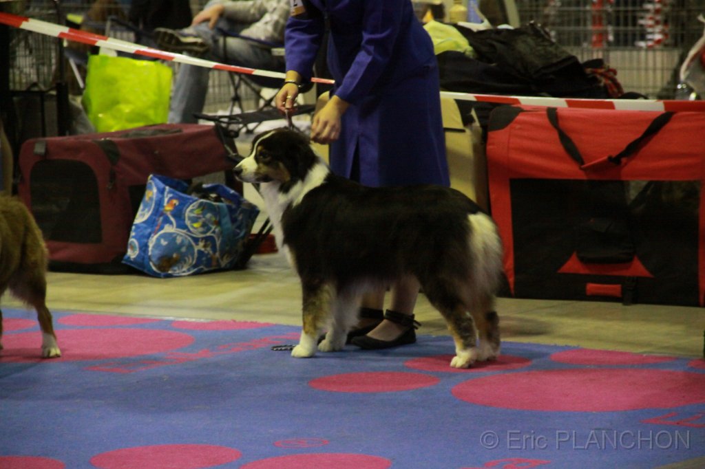 IMG_0426.JPG