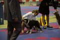 IMG_0003