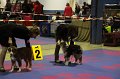 IMG_0006