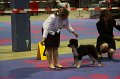 IMG_0008