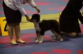 IMG_0010