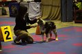 IMG_0014