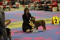 IMG_0016