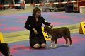 IMG_0019