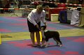 IMG_0020
