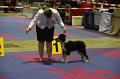 IMG_0021