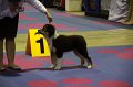 IMG_0026