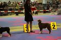 IMG_0030