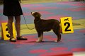 IMG_0031