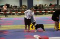 IMG_0032