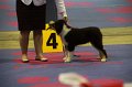 IMG_0033