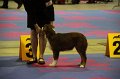 IMG_0034