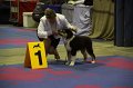 IMG_0036