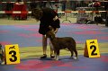IMG_0037