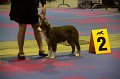 IMG_0042