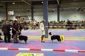 IMG_0045