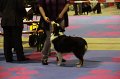 IMG_0046