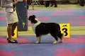IMG_0047