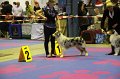 IMG_0067