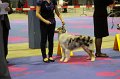 IMG_0073
