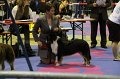 IMG_0078