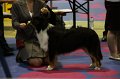 IMG_0079