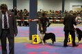 IMG_0082