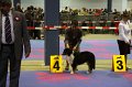 IMG_0083