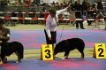 IMG_0084