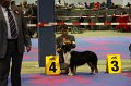 IMG_0085
