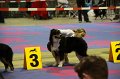 IMG_0086