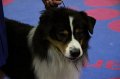 IMG_0107