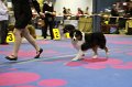 IMG_0113