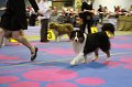 IMG_0114