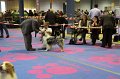 IMG_0122