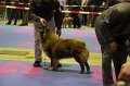IMG_0131